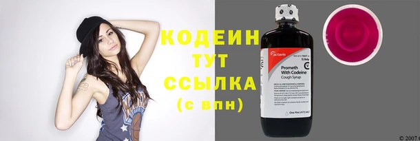 индика Лиски
